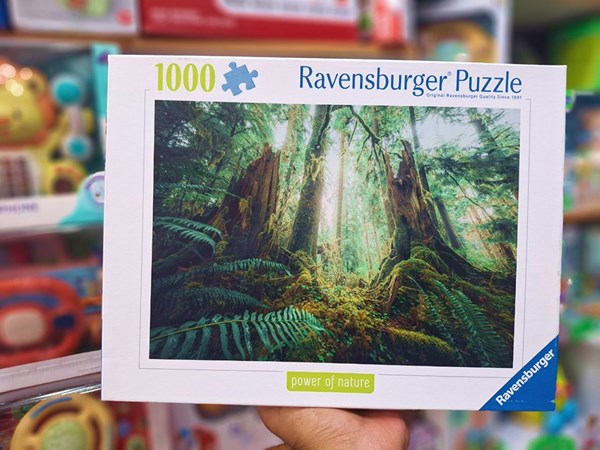 پازل 1000 قطعه راونزبرگر Ravensburger طرح جنگل افسون‌گر_اسباب بازی لگو