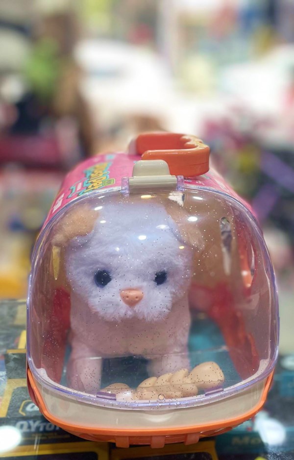 گربه خانگی به همراه قفس و وسایل آرایشی رنگ سفید کرم کد 1062_عروسک رباتیک