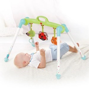 اسباب بازی نوزادی پلی جیم هولی تویز مدل Hola Toys E288 _اسباب بازی نوزادی