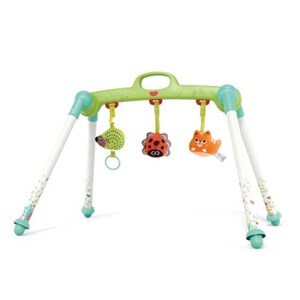 اسباب بازی نوزادی پلی جیم هولی تویز مدل Hola Toys E288 _اسباب بازی نوزادی
