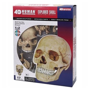 پک ساخت آناتومی جمجمه انسان مدل 4D Master - Human Skull Anatomy Model_اسباب بازی علمی