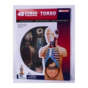 پک ساخت آناتومی بدن انسان مدل 4D Master - Human Anatomy Model_اسباب بازی علمی