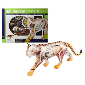 پک ساخت آناتومی بدن ببر مدل 4D Master - Tiger Anatomy Model_اسباب بازی علمی