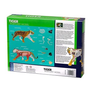 پک ساخت آناتومی بدن ببر مدل 4D Master - Tiger Anatomy Model_اسباب بازی علمی