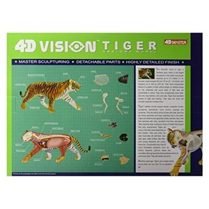 پک ساخت آناتومی بدن ببر مدل 4D Master - Tiger Anatomy Model_اسباب بازی علمی