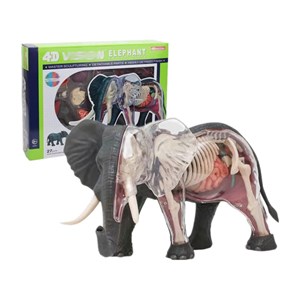 پک ساخت آناتومی بدن فیل مدل 4D Master - Elephant Anatomy Model_اسباب بازی علمی