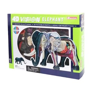 پک ساخت آناتومی بدن فیل مدل 4D Master - Elephant Anatomy Model_اسباب بازی علمی
