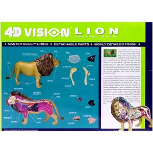 پک ساخت آناتومی بدن شیر مدل 4D Master - Lion Anatomy Model_اسباب بازی علمی
