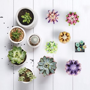 اسباب بازی لگو کریتور پک 6 تایی گل های ساکولنت 478 قطعه _اسباب بازی لگو