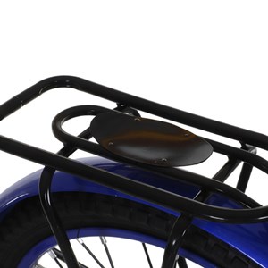 دوچرخه شهری لاودیس سایز 20 آبی مدل ZR20133 laodis _اسباب بازی دوچرخه