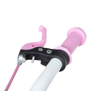 دوچرخه دخترانه لاودیس سایز 16 صورتی مدل ZR16135 laodis_اسباب بازی دوچرخه