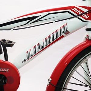 دوچرخه اورجینال کودک سایز 20 طرح دختر کفشدوزکی و گربه سیاه مدل جونیور JUNIOR_اسباب بازی دوچرخه