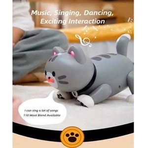 ربات کنترلی گربه رنگ طوسی مدل K48