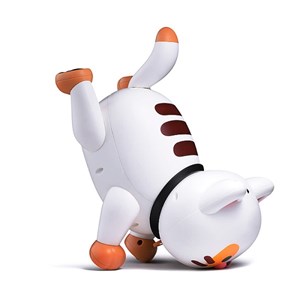 ربات کنترلی گربه رنگ سفید مدل K48