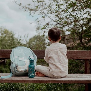 کوله پشتی بزرگ طرح فیل ساسی Sassi